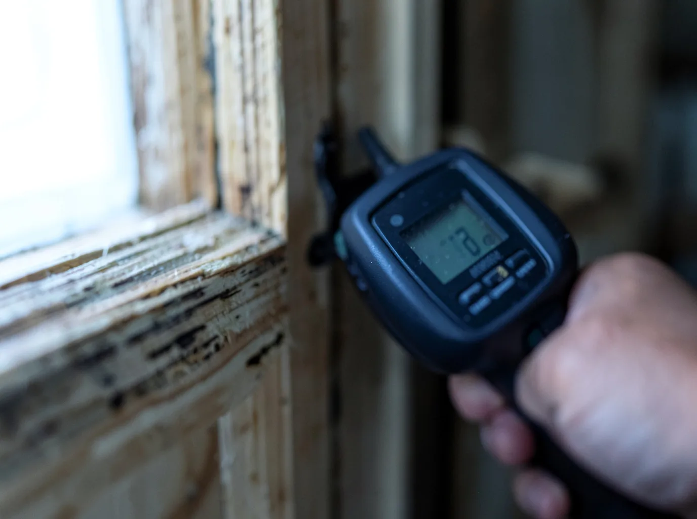 Moisture Inspection And Documentation in North Charleston, SC